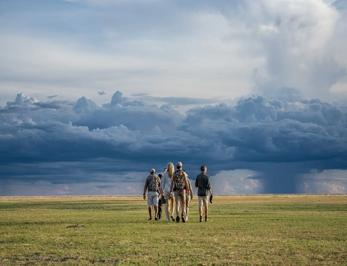 Guided Safaris - Kilpin Safari