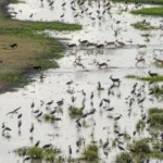 Boma in South Sudan - Kilpin Safari