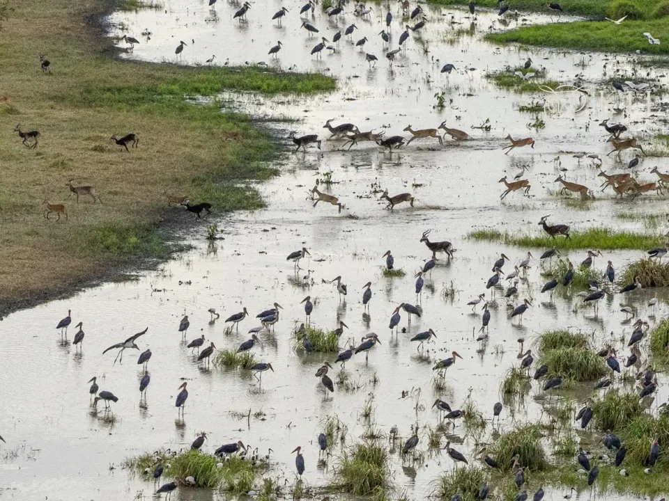 Boma in South Sudan - Kilpin Safari