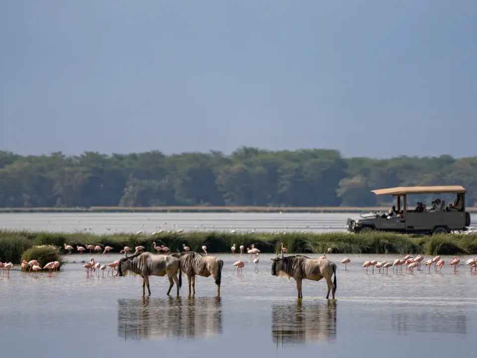 Amboseli Kenya - Kilpin Safari