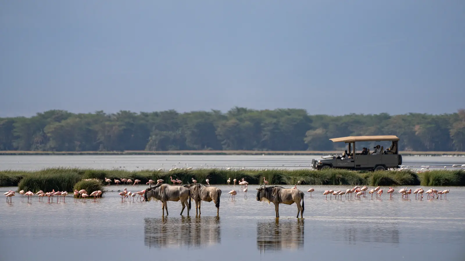 Amboseli Kenya - Kilpin Safari
