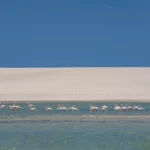 Bazaruto Mozambique - Kilpin Safari