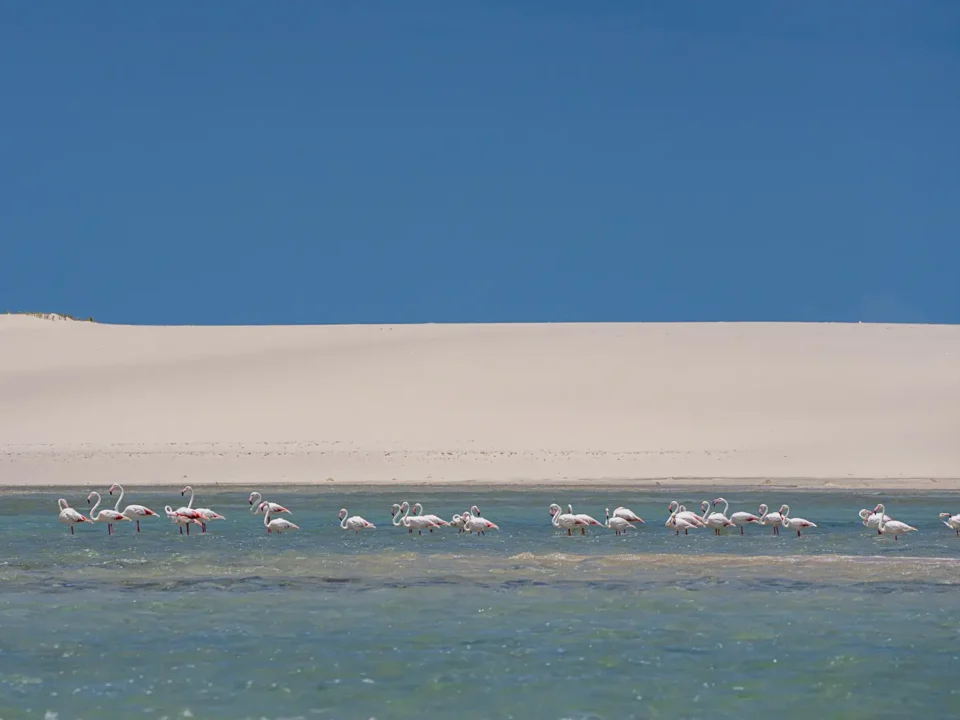 Bazaruto Mozambique - Kilpin Safari
