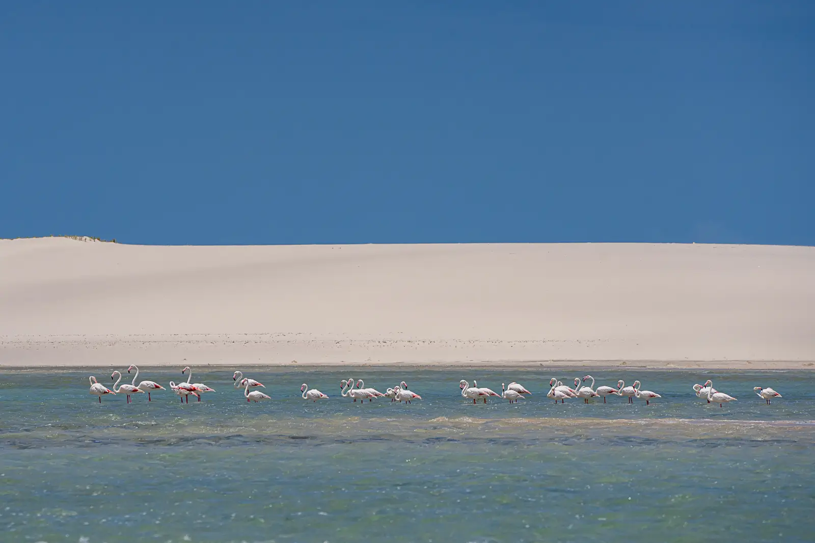 Bazaruto Mozambique - Kilpin Safari