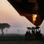 Serengeti in Tanzania - Kilpin Safari