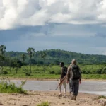 Safari down in Southern Tanzania - Tanzania - Ruaha - Kilpin Safari